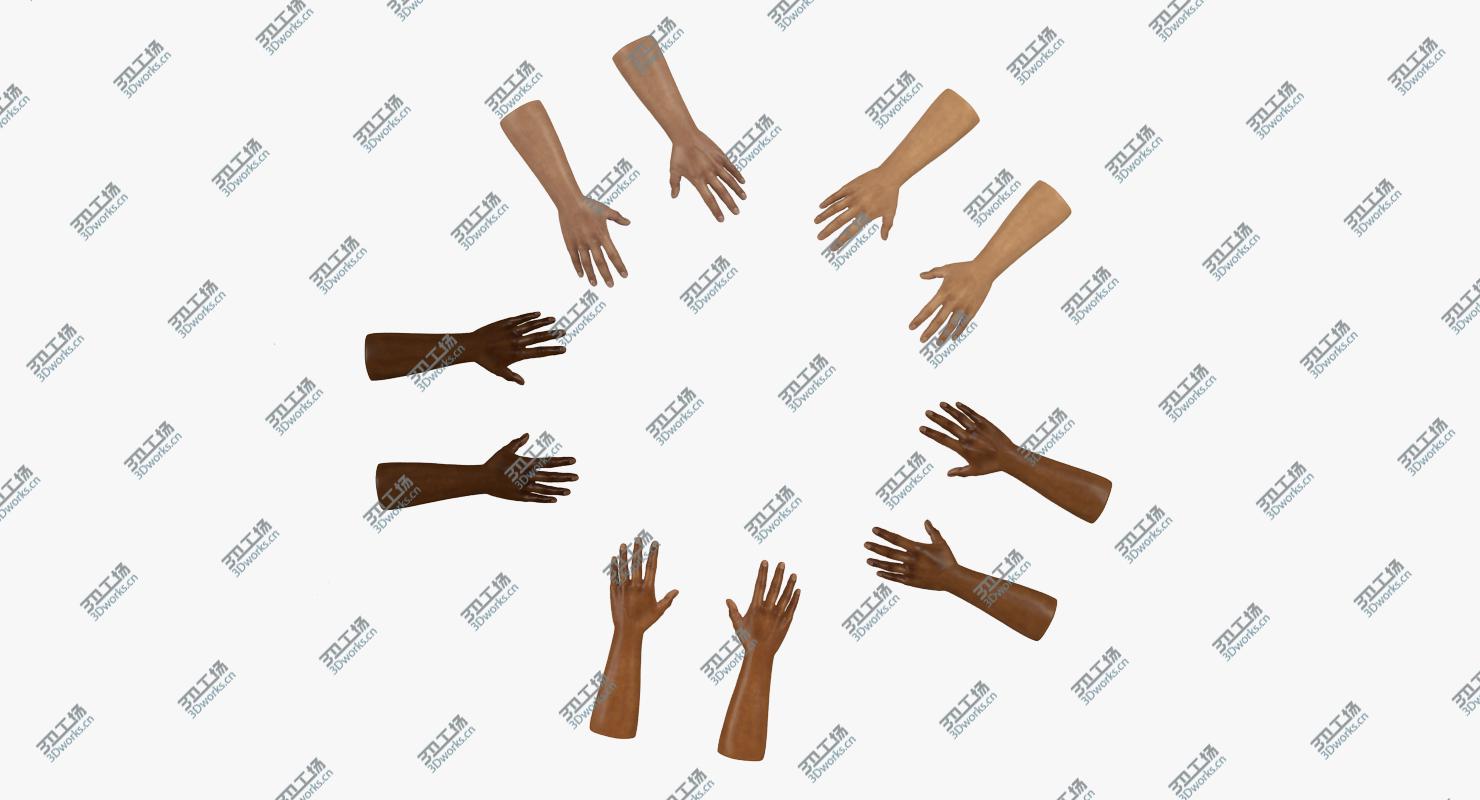 images/goods_img/2021040164/Hands Rigged Collection for Cinema 4D 3D/5.jpg